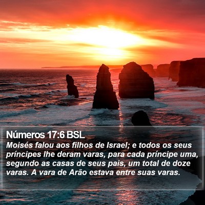 Números 17:6 BSL Bible Verse Image