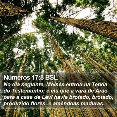 Números 17:8 BSL Bible Verse Image