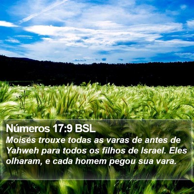 Números 17:9 BSL Bible Verse Image