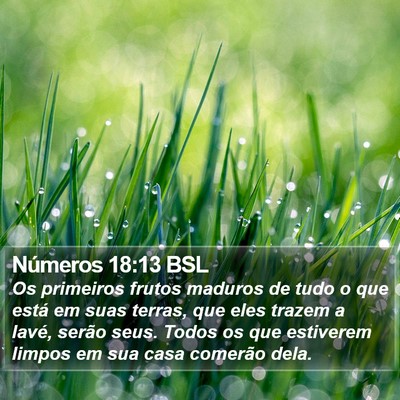 Números 18:13 BSL Bible Verse Image