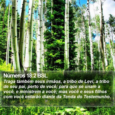 Números 18:2 BSL Bible Verse Image