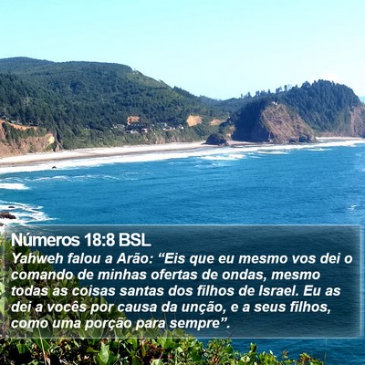 Números 18:8 BSL Bible Verse Image