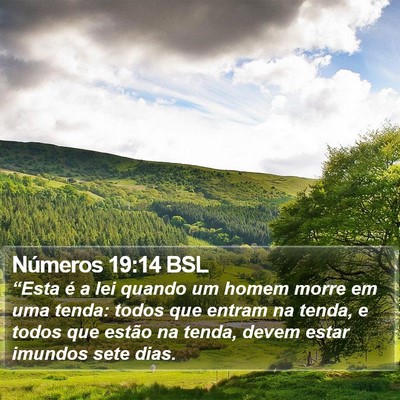 Números 19:14 BSL Bible Verse Image