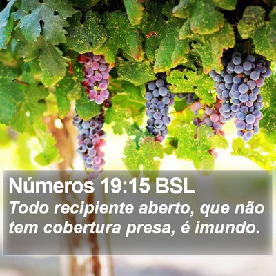Números 19:15 BSL Bible Verse Image