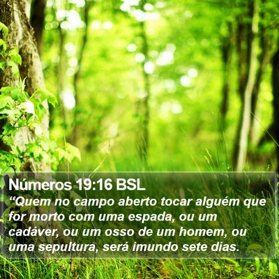 Números 19:16 BSL Bible Verse Image
