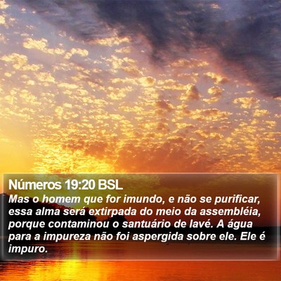 Números 19:20 BSL Bible Verse Image