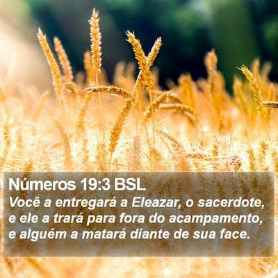 Números 19:3 BSL Bible Verse Image