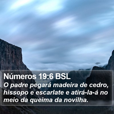 Números 19:6 BSL Bible Verse Image