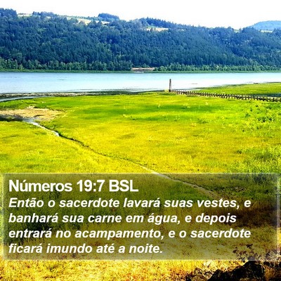 Números 19:7 BSL Bible Verse Image