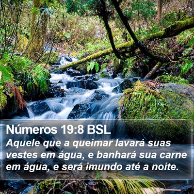 Números 19:8 BSL Bible Verse Image