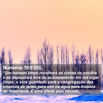 Números 19:9 BSL Bible Verse Image