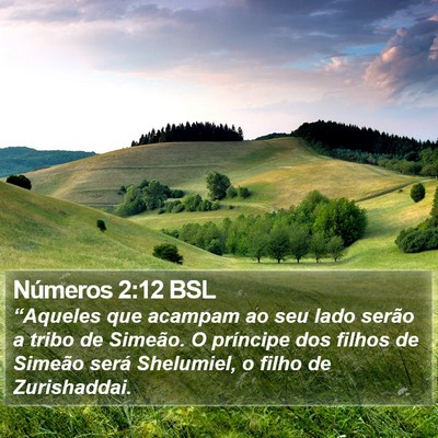 Números 2:12 BSL Bible Verse Image
