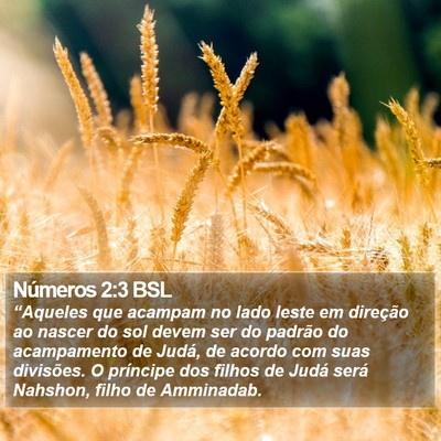 Números 2:3 BSL Bible Verse Image
