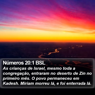 Números 20:1 BSL Bible Verse Image