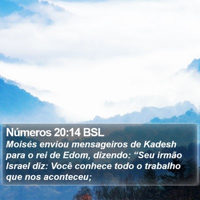 Números 20:14 BSL Bible Verse Image