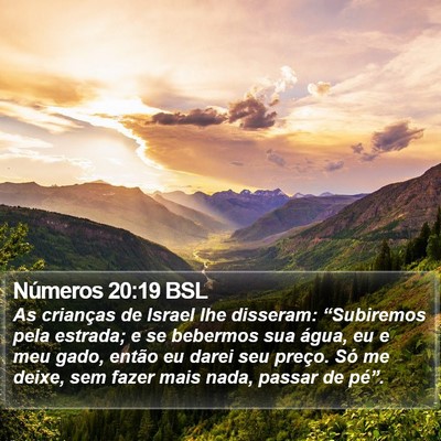 Números 20:19 BSL Bible Verse Image