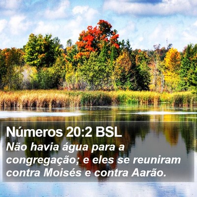 Números 20:2 BSL Bible Verse Image