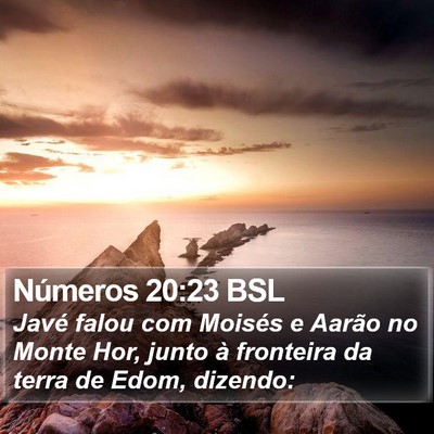 Números 20:23 BSL Bible Verse Image