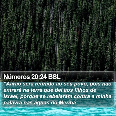 Números 20:24 BSL Bible Verse Image