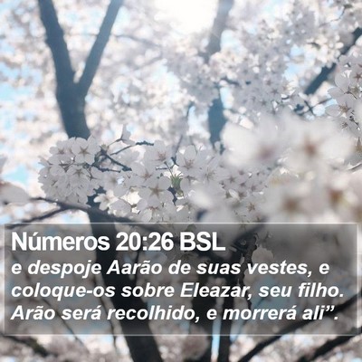 Números 20:26 BSL Bible Verse Image