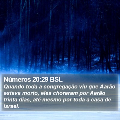 Números 20:29 BSL Bible Verse Image