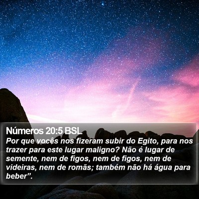 Números 20:5 BSL Bible Verse Image