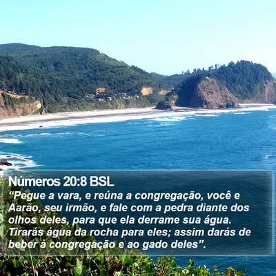 Números 20:8 BSL Bible Verse Image