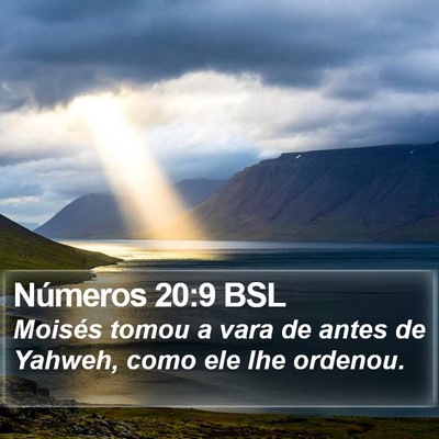 Números 20:9 BSL Bible Verse Image