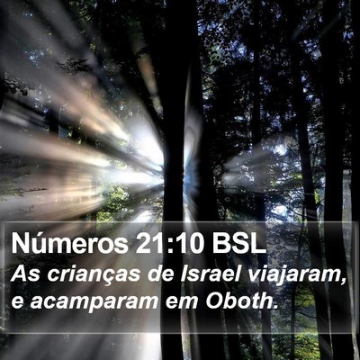 Números 21:10 BSL Bible Verse Image