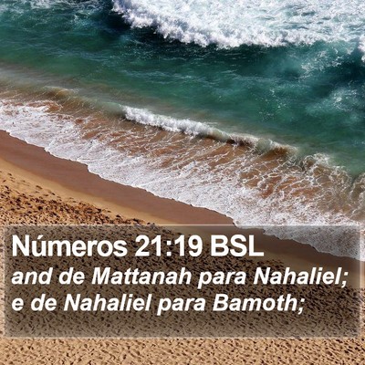 Números 21:19 BSL Bible Verse Image