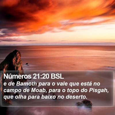 Números 21:20 BSL Bible Verse Image