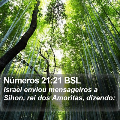 Números 21:21 BSL Bible Verse Image