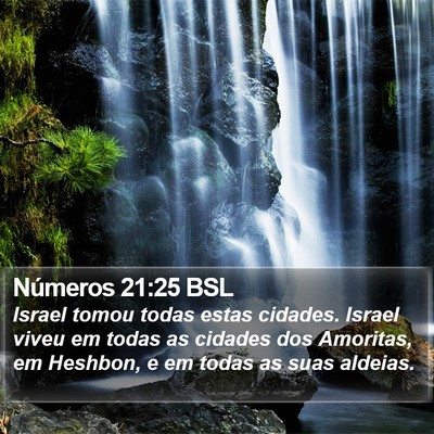Números 21:25 BSL Bible Verse Image