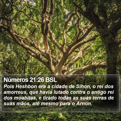 Números 21:26 BSL Bible Verse Image