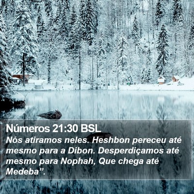 Números 21:30 BSL Bible Verse Image