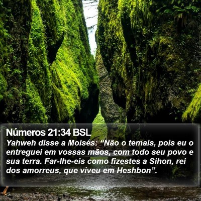 Números 21:34 BSL Bible Verse Image