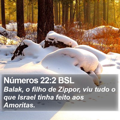Números 22:2 BSL Bible Verse Image