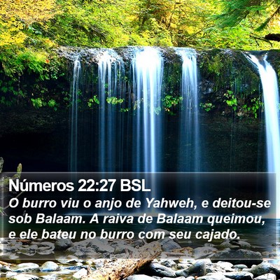 Números 22:27 BSL Bible Verse Image