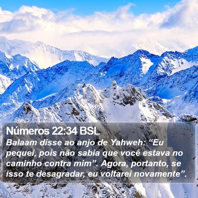 Números 22:34 BSL Bible Verse Image