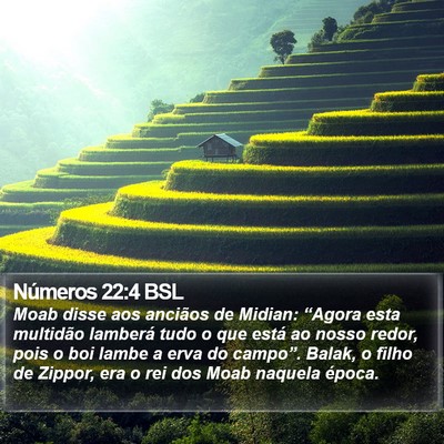 Números 22:4 BSL Bible Verse Image