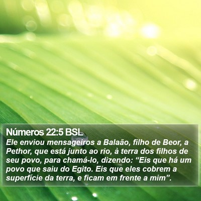Números 22:5 BSL Bible Verse Image