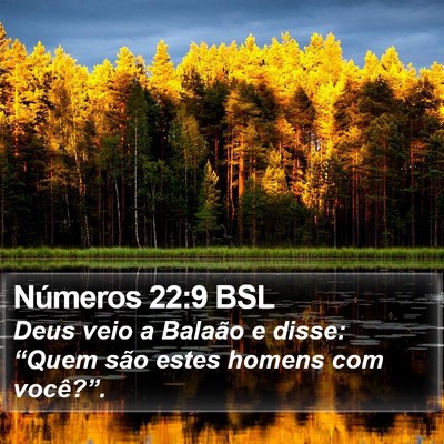 Números 22:9 BSL Bible Verse Image