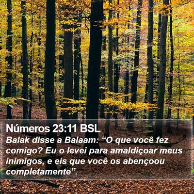 Números 23:11 BSL Bible Verse Image