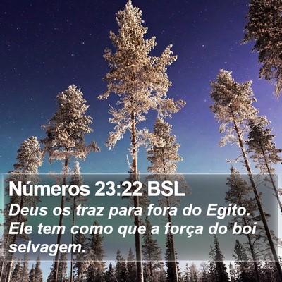 Números 23:22 BSL Bible Verse Image
