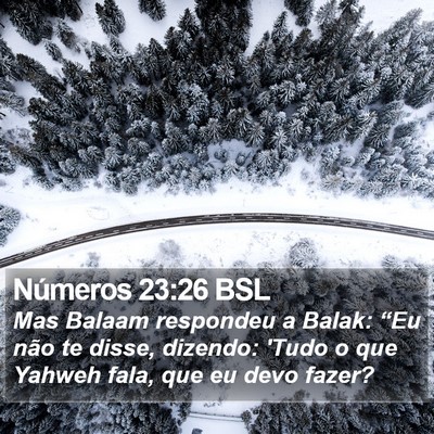 Números 23:26 BSL Bible Verse Image