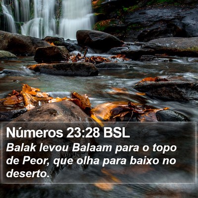 Números 23:28 BSL Bible Verse Image