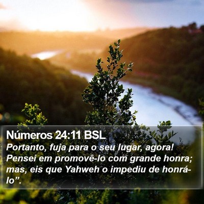 Números 24:11 BSL Bible Verse Image