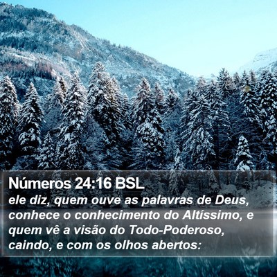 Números 24:16 BSL Bible Verse Image