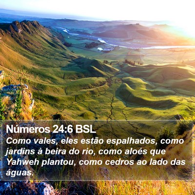 Números 24:6 BSL Bible Verse Image