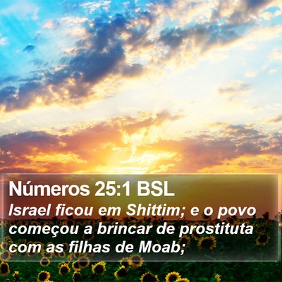 Números 25:1 BSL Bible Verse Image